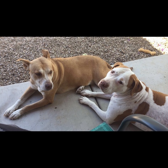 Meet your Posher, Valencia - Picture 5 of 6